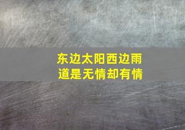 东边太阳西边雨 道是无情却有情